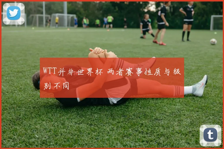 WTT并非世界杯 两者赛事性质与级别不同