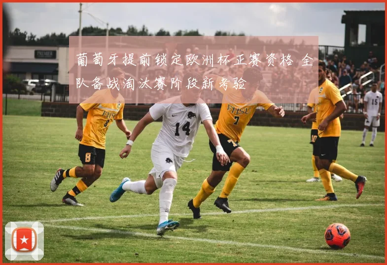 葡萄牙提前锁定欧洲杯正赛资格 全队备战淘汰赛阶段新考验